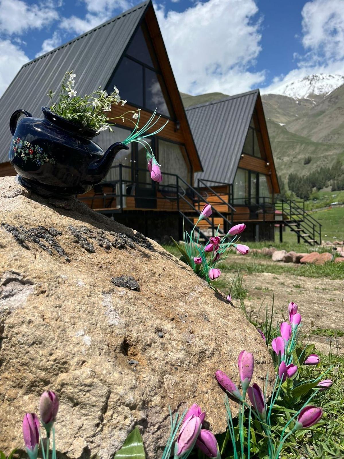 Mtisguli Cottages Kazbegi Dış mekan fotoğraf