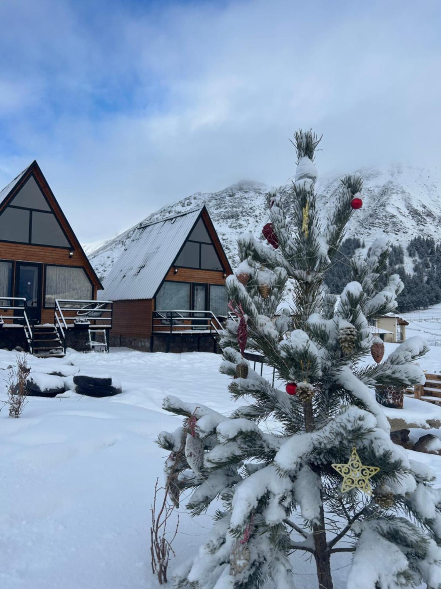 Mtisguli Cottages Kazbegi Dış mekan fotoğraf